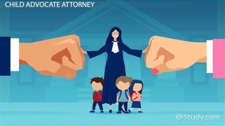A Journey Of Law, Advocacy, And Love