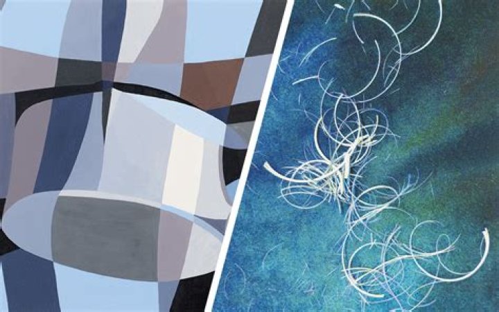 A Journey Through Color And Expression