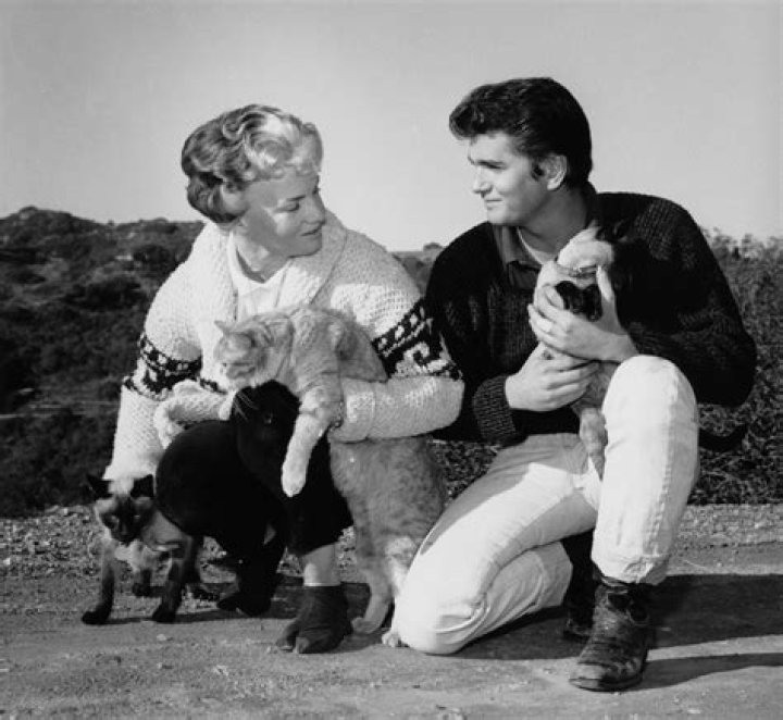 A Journey Through "Dodie Levy Fraser