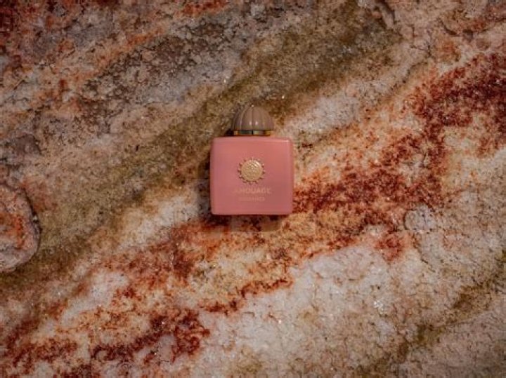 All I Need by Jack Wagner: A Deep Dive into the Classic Love Ballad