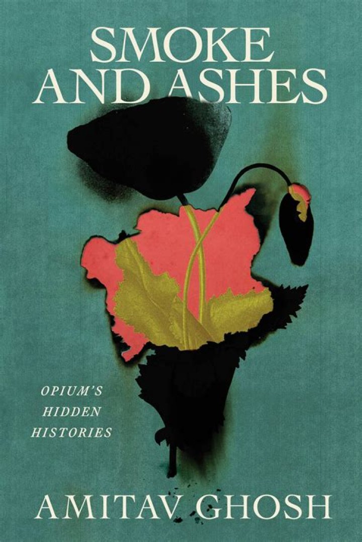 Amy Davidson's Journey Through Journalism And Literature
