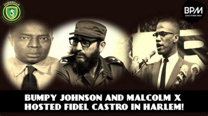 Bumpy Johnson And Malcolm X Unraveled