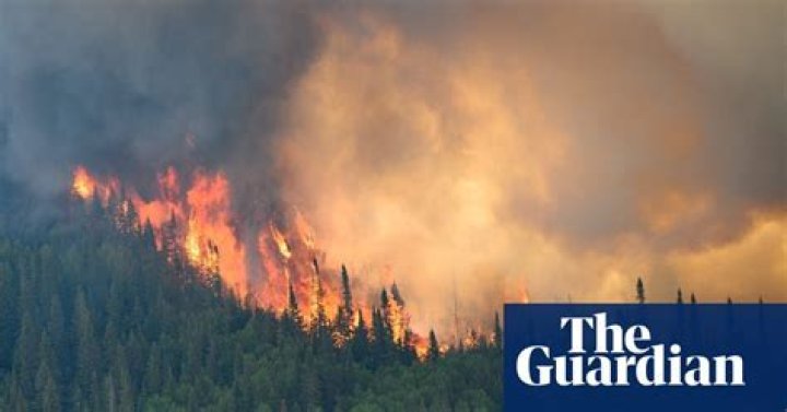 Canadian man who claimed wildfires were a federal conspiracy admits arson