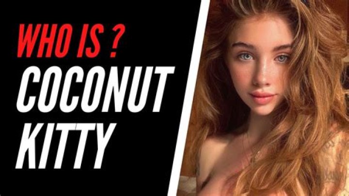 Discover The World Of Coconut Kitty: Wiki, Biography, And More
