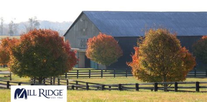 Discovering Royal Farms Near Me: Your Ultimate Guide