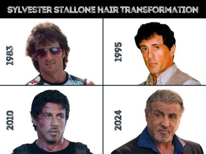 Does Sylvester Stallone Wear a Toupee? Find Out if Rambo's Hair Is Real