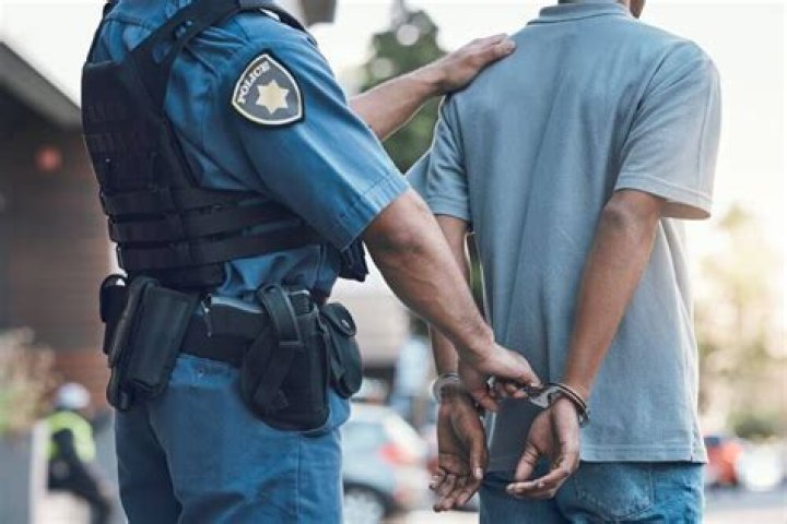 Dominic Fike's House Arrest And Its Underlying Reasons