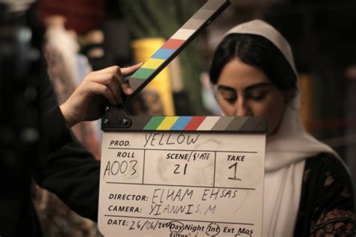 Elham Ehsas: Age, Career, And Activism