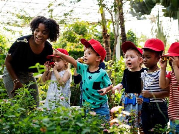 Exploring Age, Experience, And Impact