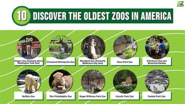 Exploring Buffalo Zoo: A Comprehensive Guide to One of America's Oldest Zoos
