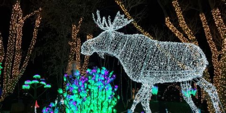 Exploring the Enchantment of Boston Lights: A Journey Through the City's Illuminating Experience