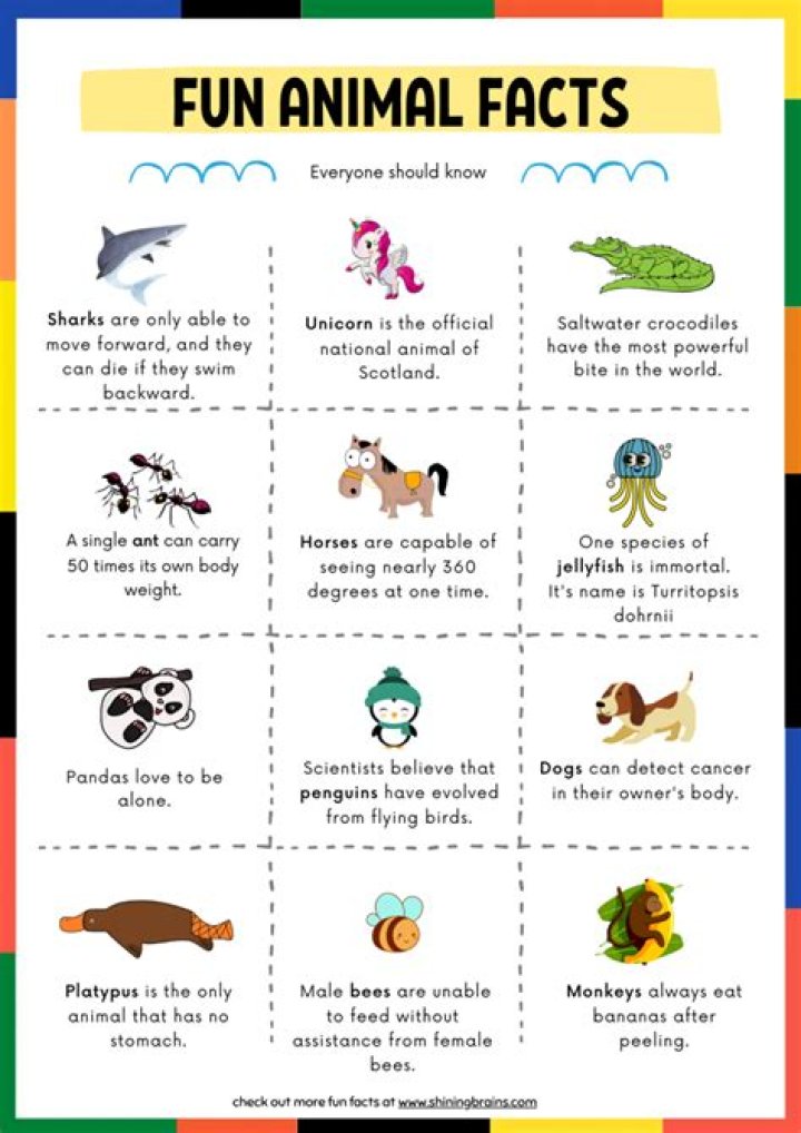 Facts To Know About |