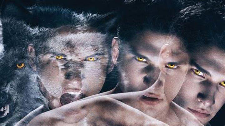 From Teen Wolf To Yellowstone And Beyond