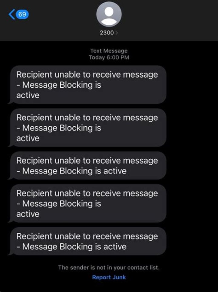 Got a Message Blocking Is Active Text? See What It Might Mean