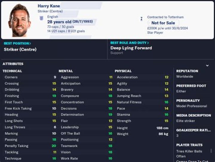 Harry Kane - Stats 23/24 |