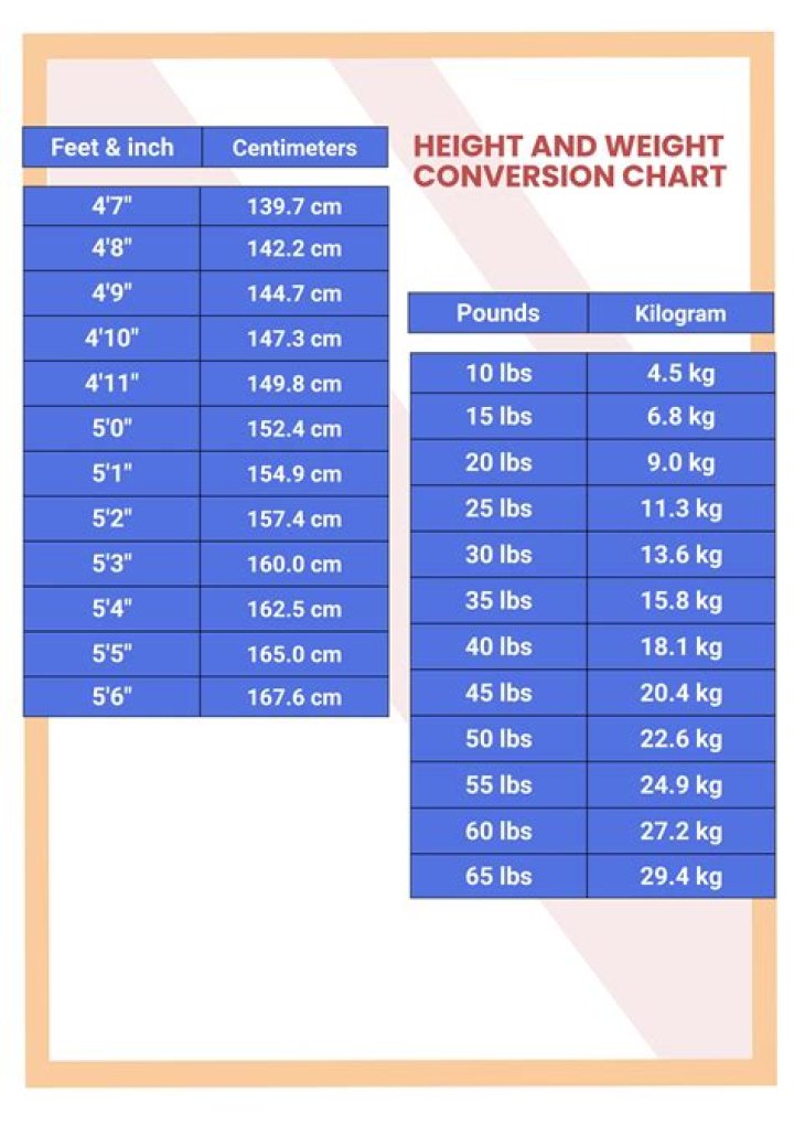 Height And Weight Insights Revealed