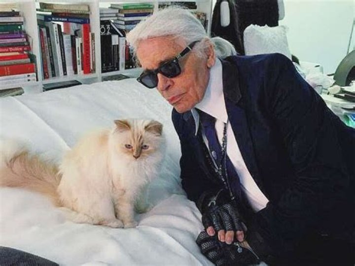 Is Karl Lagerfeld's Beloved Cat, Choupette, Still Alive?