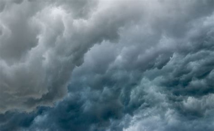 IU Zoom: The Phenomenon of a Multi-Talented Artist