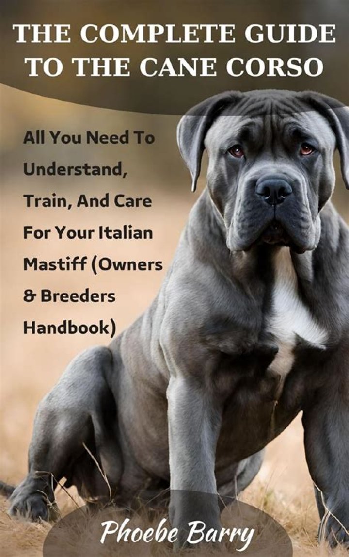 Mule Barn: The Ultimate Guide to Understanding and Caring for Your Mule