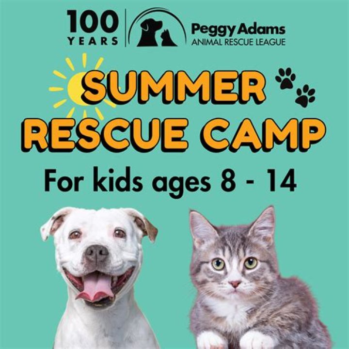 Peggy Adams Animal Rescue: A Comprehensive Guide to Animal Welfare