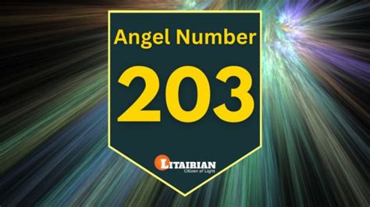 PicoDash | ANGEL NUMBER 203