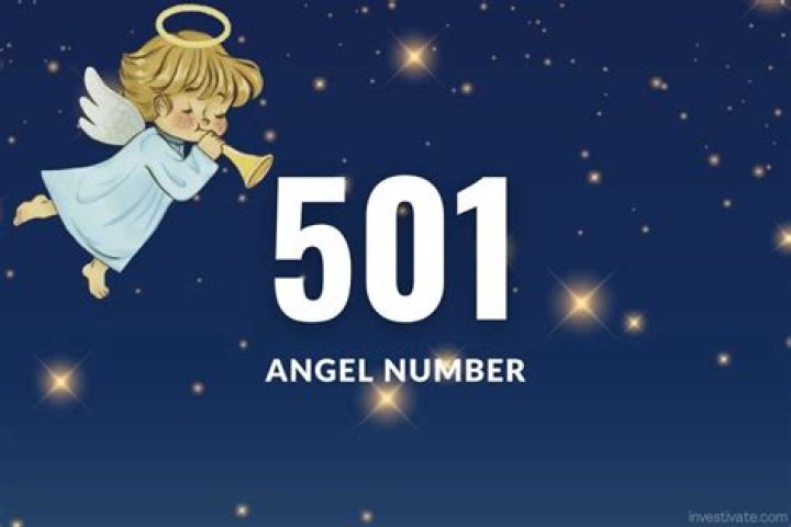 PicoDash | ANGEL NUMBER 501