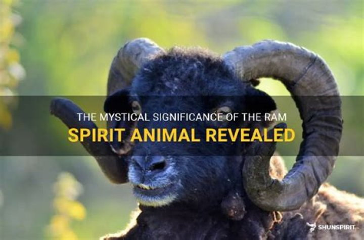 PicoDash | The Ram Spirit Animal