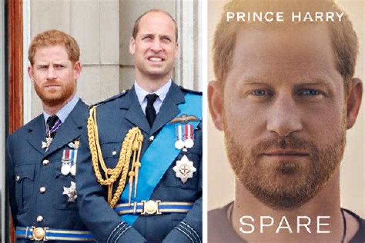 Prince Harry Doesnt Spare Us the Details |