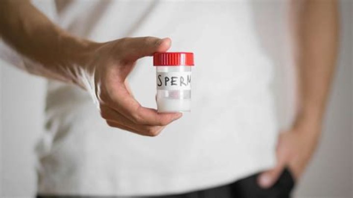 Sperm Donor Stories: Personal Journeys and Experiences