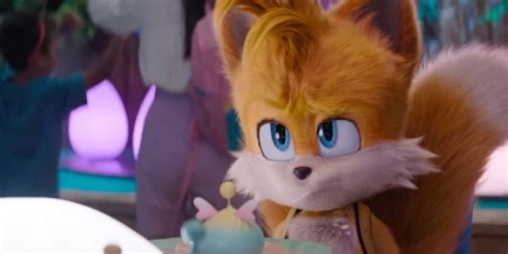 Tails the Fox: The Beloved Character from the Sonic the Hedgehog Franchise