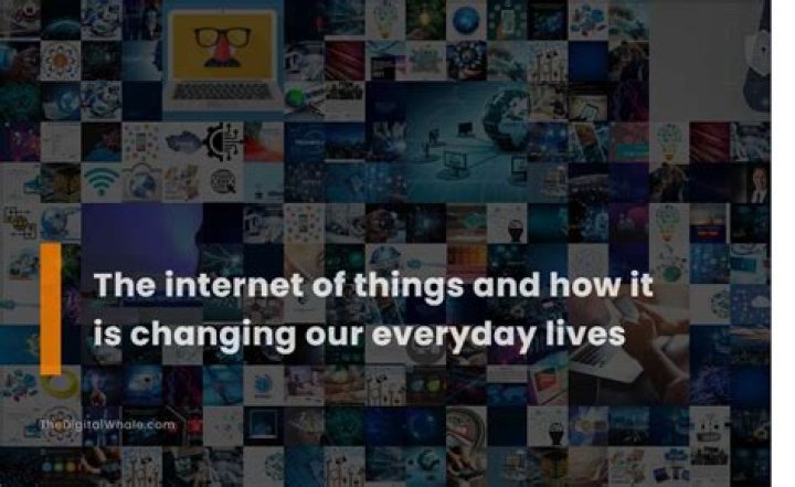The Internet Has Found Out About Network Television