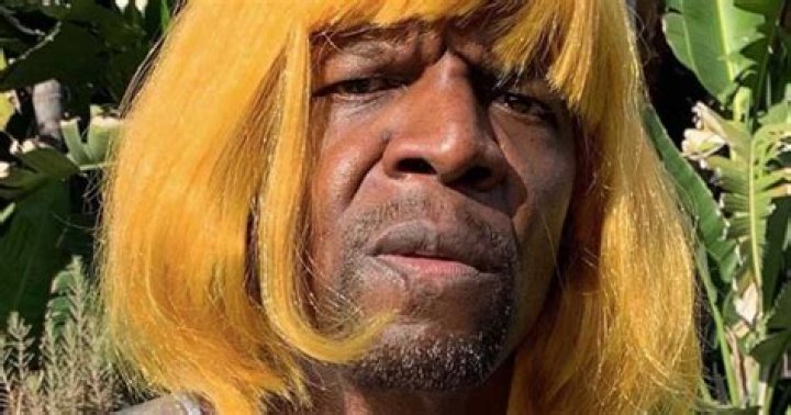 The Terry Crews He-Man Meme is Just: You Take a Look