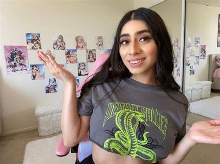 The Truth Behind The Violet Myers OnlyFans Leaks