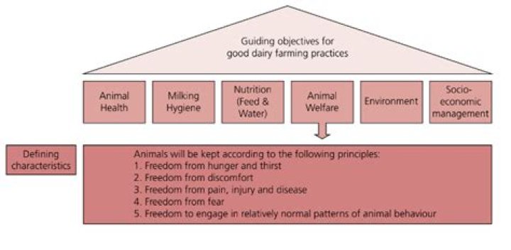 Tori Spelling's Children: A Comprehensive Guide for 2024
