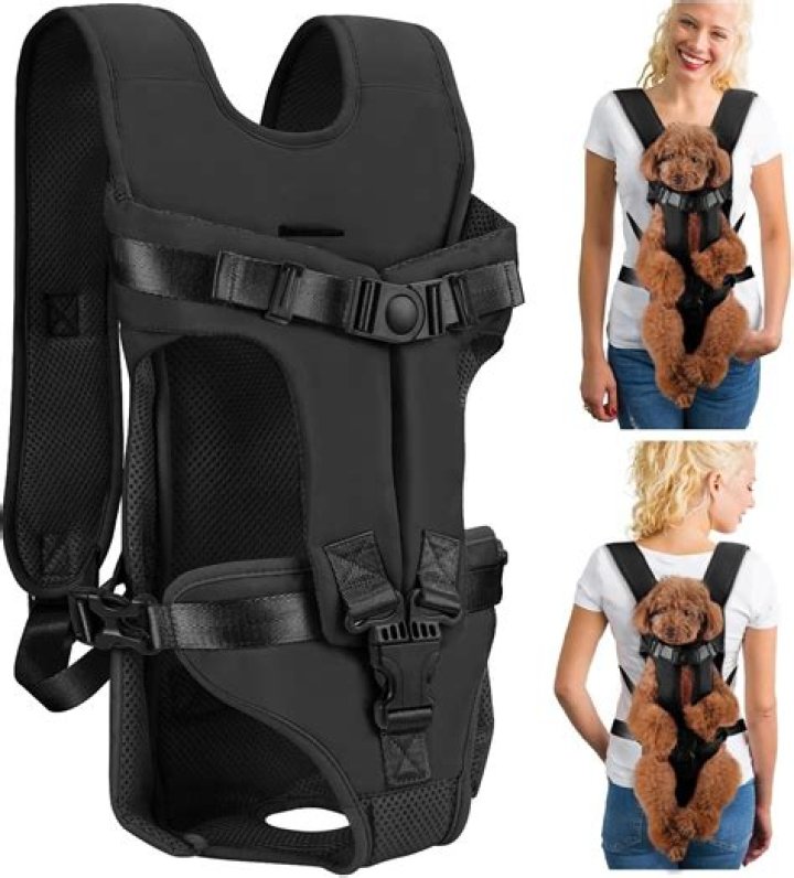 Ultimate Guide to Dog Carrier Backpacks: Comfort and Convenience for You and Your Pet