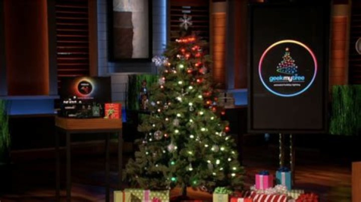 Uncover The "Geek My Tree Net Worth" Enigma