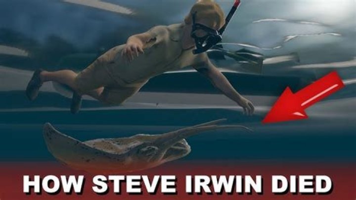 Uncovering The Truth Behind The Steve Irwin Death Video