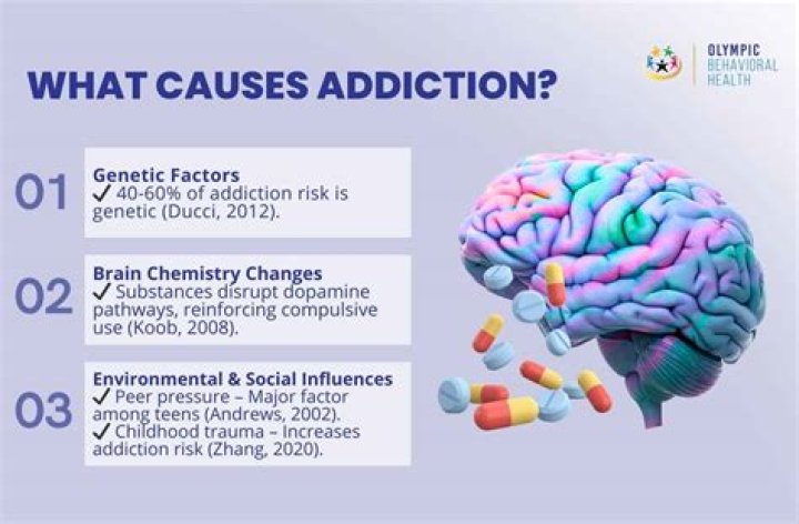 Uncovering The Truths Of Drug Addiction And Mental Illness