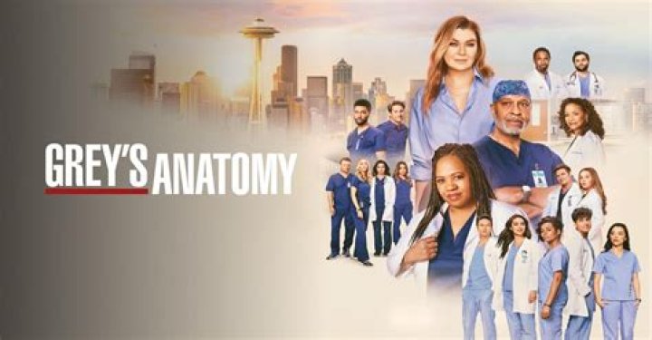 Understanding Grey's Anatomy: A Deep Dive into the Iconic Medical Drama