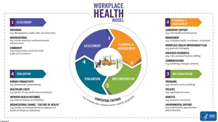 Understanding Healthplan Services: A Comprehensive Guide