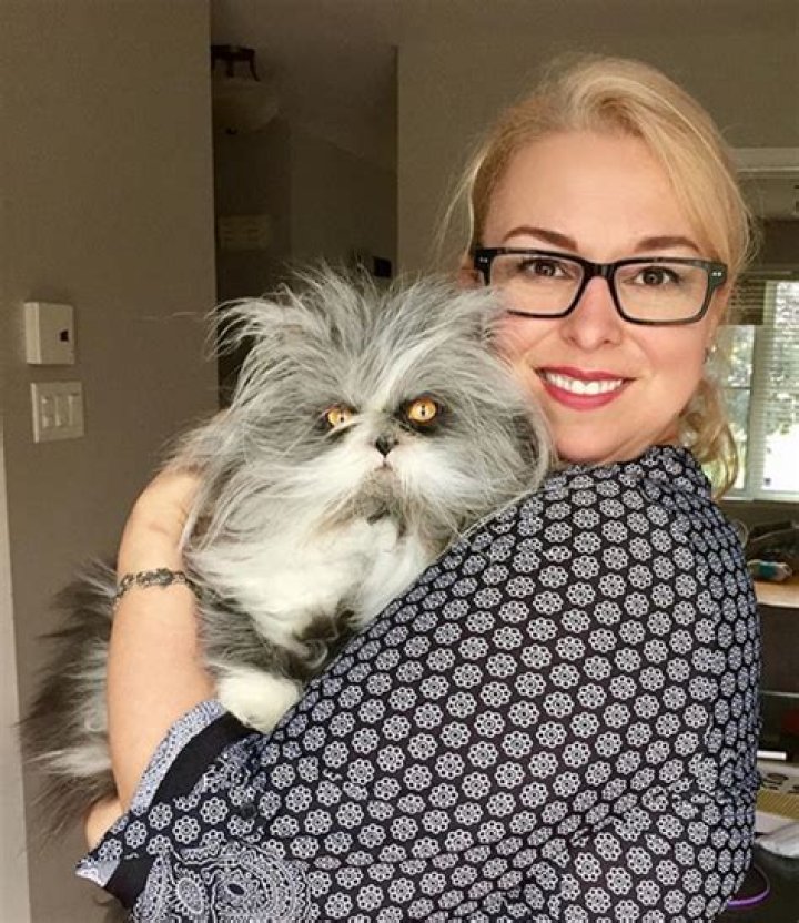 Understanding Hypertrichosis in Cats: Causes, Symptoms, and Care