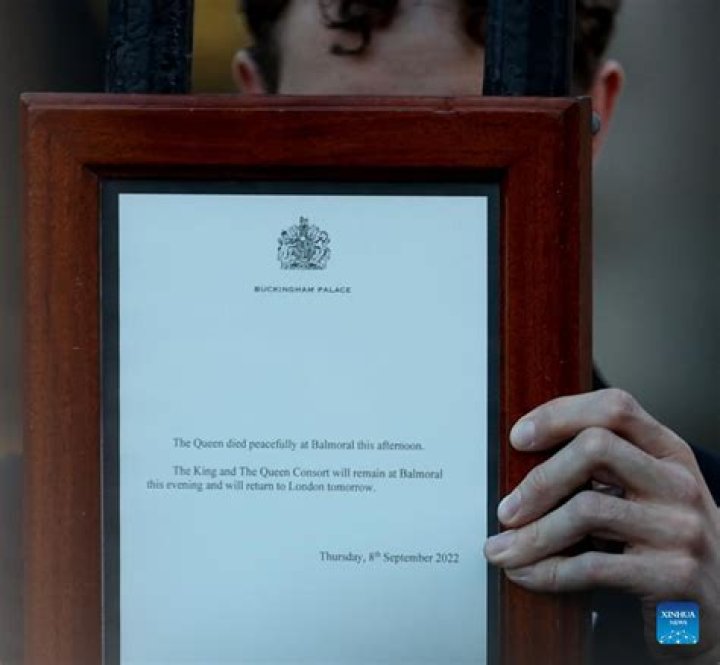 Understanding Palace Announcements: Importance and Impact