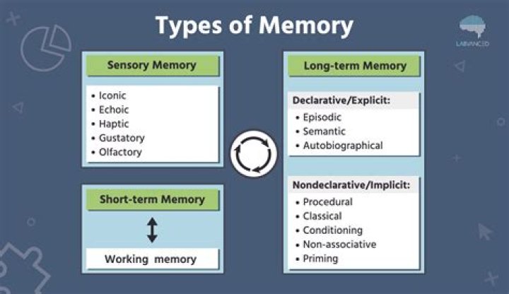Unlock The Secrets Of Memory With Kevin Wixted's Groundbreaking Research