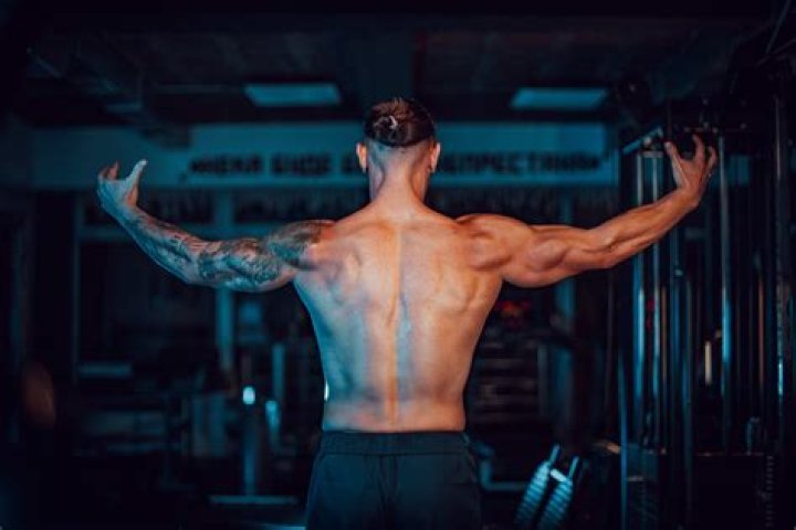 Unveiling Jeff Nippard's Height And Weight: Insights For Bodybuilders