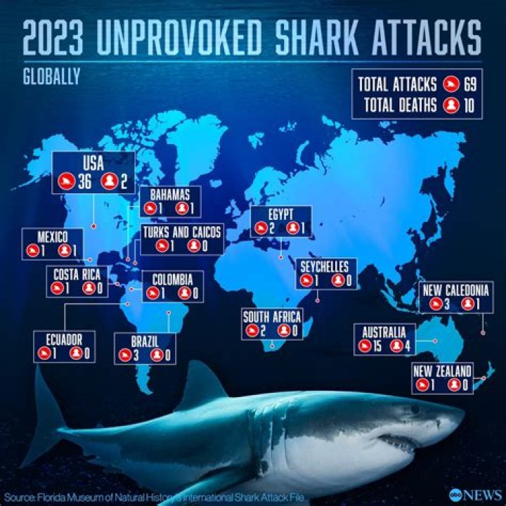 Unveiling the Enigma: Oahu Shark Attacks Unraveled