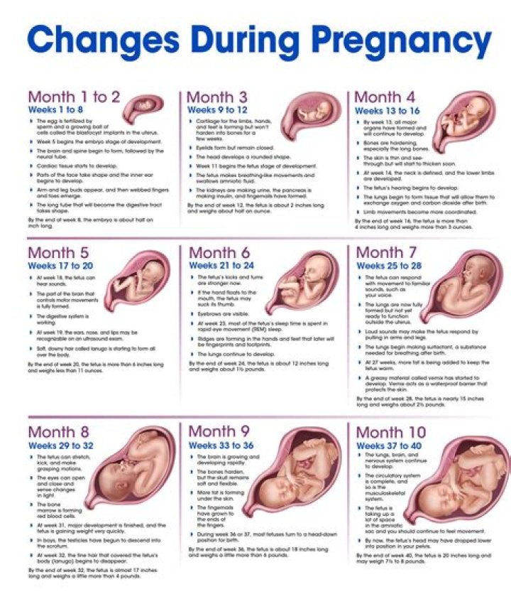 Unveiling The Secrets: Jodie Foster's Pregnancy Journey