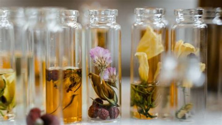 Unveiling The Secrets Of Dew Anderson: Discoveries And Insights