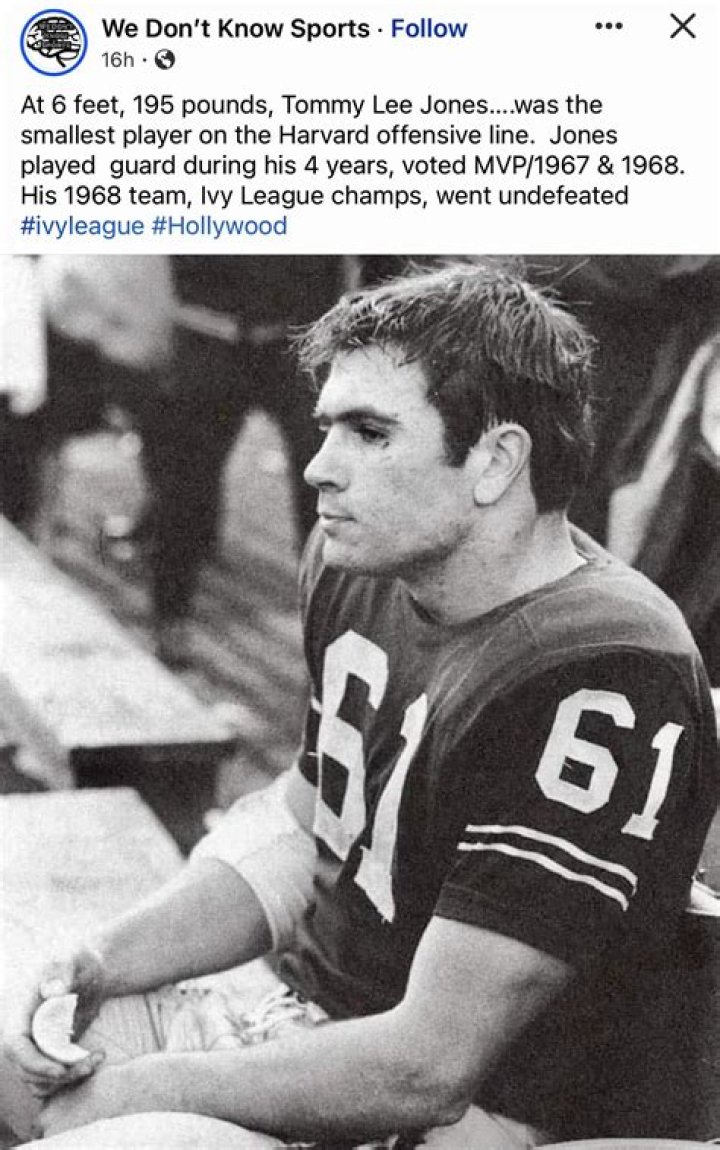 Young Tommy Lee Jones: The Rise of a Hollywood Legend